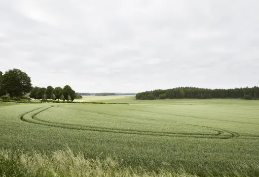 Åkrar utanför Svegros växthus