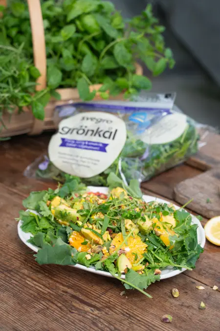 Apelsinsallad med grönkål