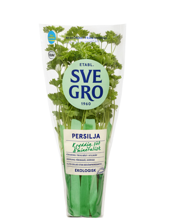 Persilja i kruka från Svegro