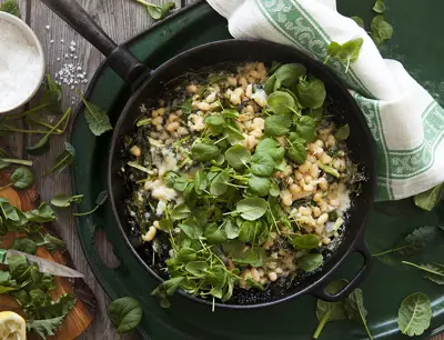 Vita bönor med grönkål och parmesanost