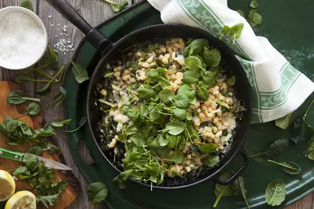 Vita bönor med grönkål och parmesanost