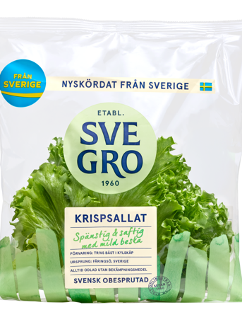 Sallatshuvud krispsallat i påse