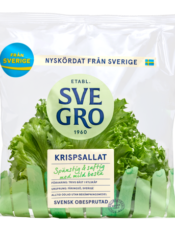Sallatshuvud krispsallat i påse