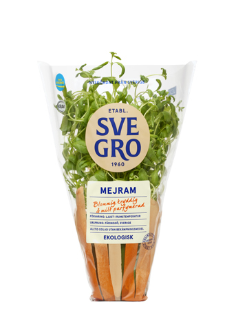 Mejram i kruka från Svegro