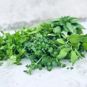 Färska örter i bunt