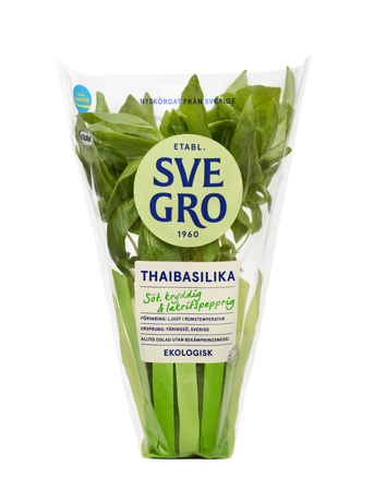 Thaibasilika i kruka från Svegro
