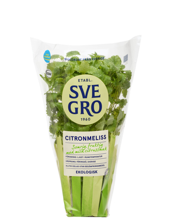 Citronmeliss i kruka från Svegro